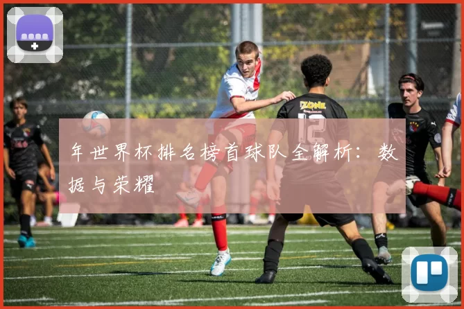 年世界杯排名榜首球队全解析：数据与荣耀