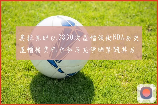 奥拉朱旺以3830次盖帽领衔NBA历史盖帽榜贾巴尔和马克伊顿紧随其后