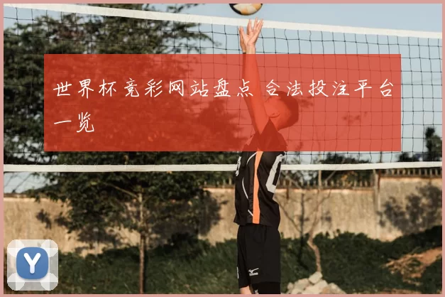 世界杯竞彩网站盘点 合法投注平台一览