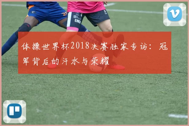 体操世界杯2018决赛独家专访:冠军背后的汗水与荣耀