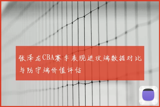 张泽龙CBA赛季表现进攻端数据对比与防守端价值评估