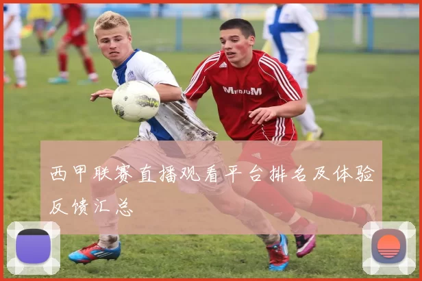 西甲联赛直播观看平台排名及体验反馈汇总