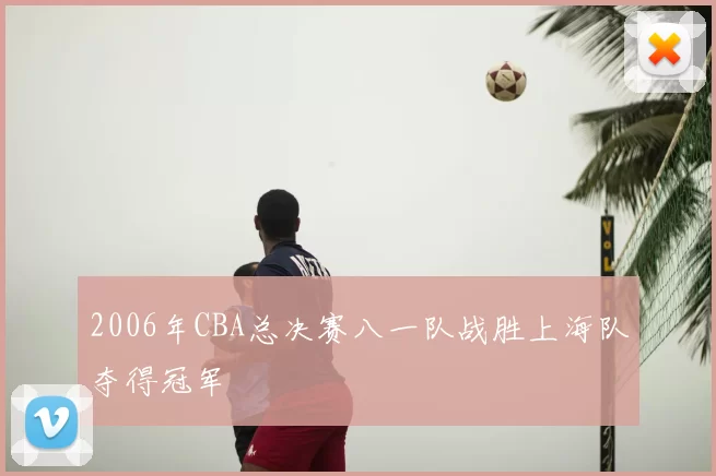 2006年CBA总决赛八一队战胜上海队夺得冠军
