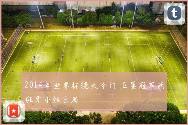 2014年世界杯现大冷门 卫冕冠军西班牙小组出局