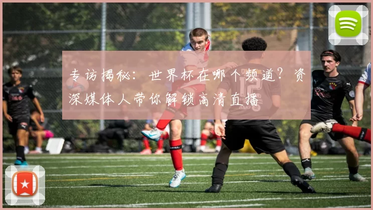 专访揭秘：世界杯在哪个频道？资深媒体人带你解锁高清直播