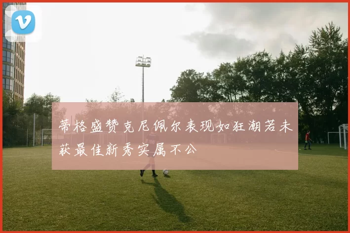 蒂格盛赞克尼佩尔表现如狂潮若未获最佳新秀实属不公