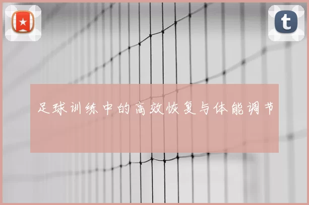 足球训练中的高效恢复与体能调节