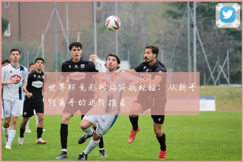 世界杯竞彩网站实战经验:从新手到高手的进阶指南