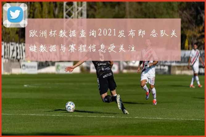 欧洲杯数据查询2021发布即 各队关键数据与赛程信息受关注
