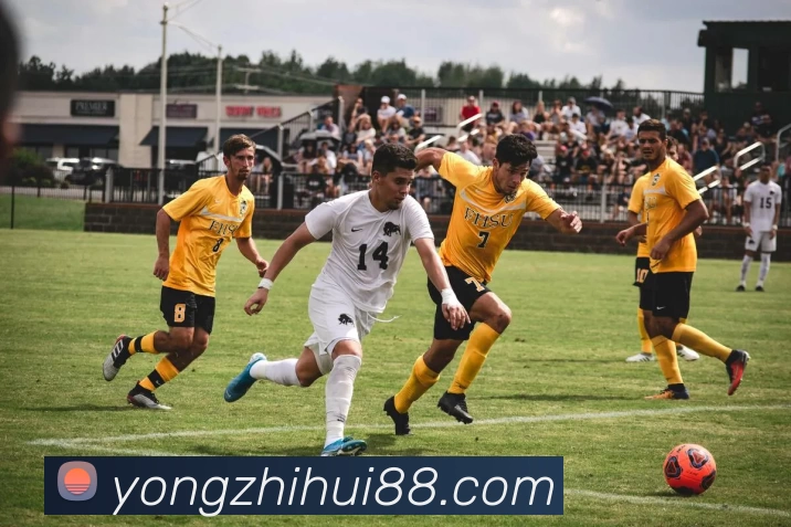 华体会体育平台生态图